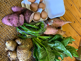 季節の野菜セット