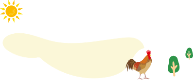 小屋の外に出しての放し飼い 栄養価の高い貴重な卵が生まれます